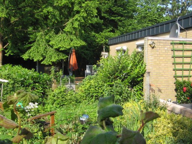 Ferienhaus "Pusteblume" Bad Zwischenahn Exterior foto